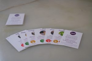 SheEO Venture Business Cards